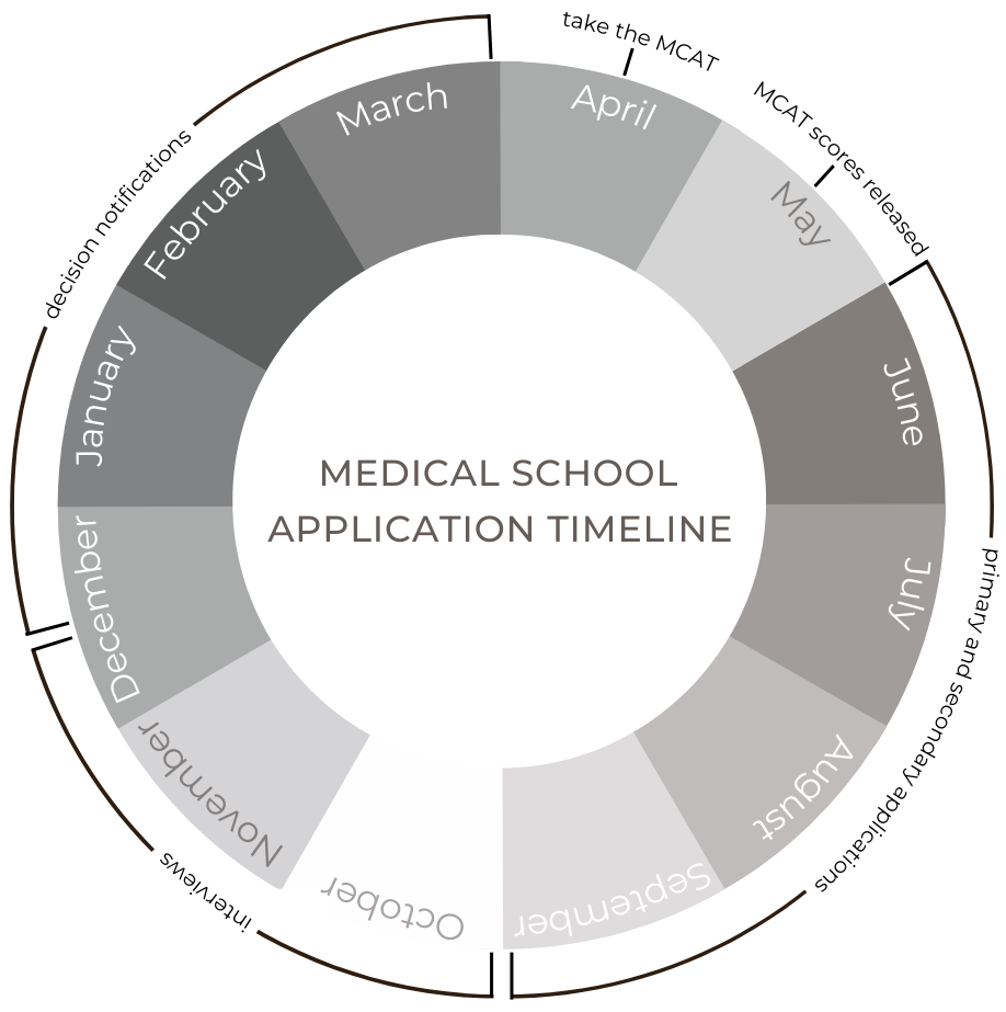 The Medical School Application Timeline: A Breakdown - Medpath