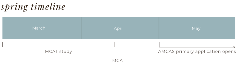 The Medical School Application Timeline: A Breakdown - Medpath